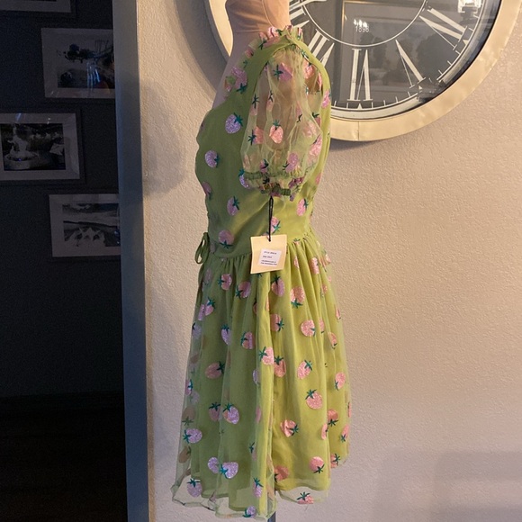 Smak Parlour Strawberries print Woodstock flair dress - Picture 6 of 9